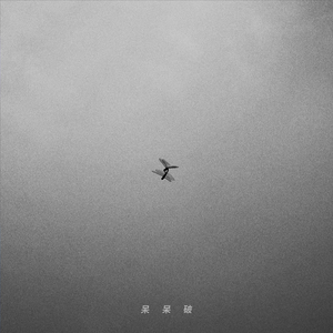 动画埃及猫拔萝卜原创版
