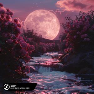 动画埃及猫拔萝卜原创版
