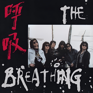 动画埃及猫拔萝卜原创版
