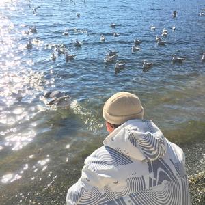 动画埃及猫拔萝卜原创版
