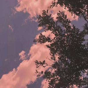 动画埃及猫拔萝卜原创版
