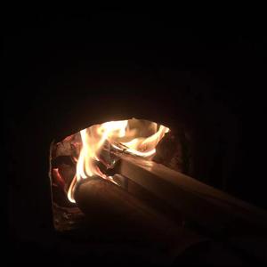 动画埃及猫拔萝卜原创版
