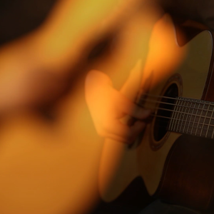 动画埃及猫拔萝卜原创版
