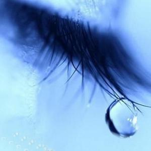 动画埃及猫拔萝卜原创版
